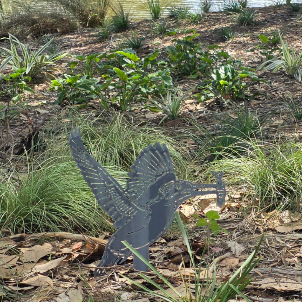 Kingfisher Flying with a Fish