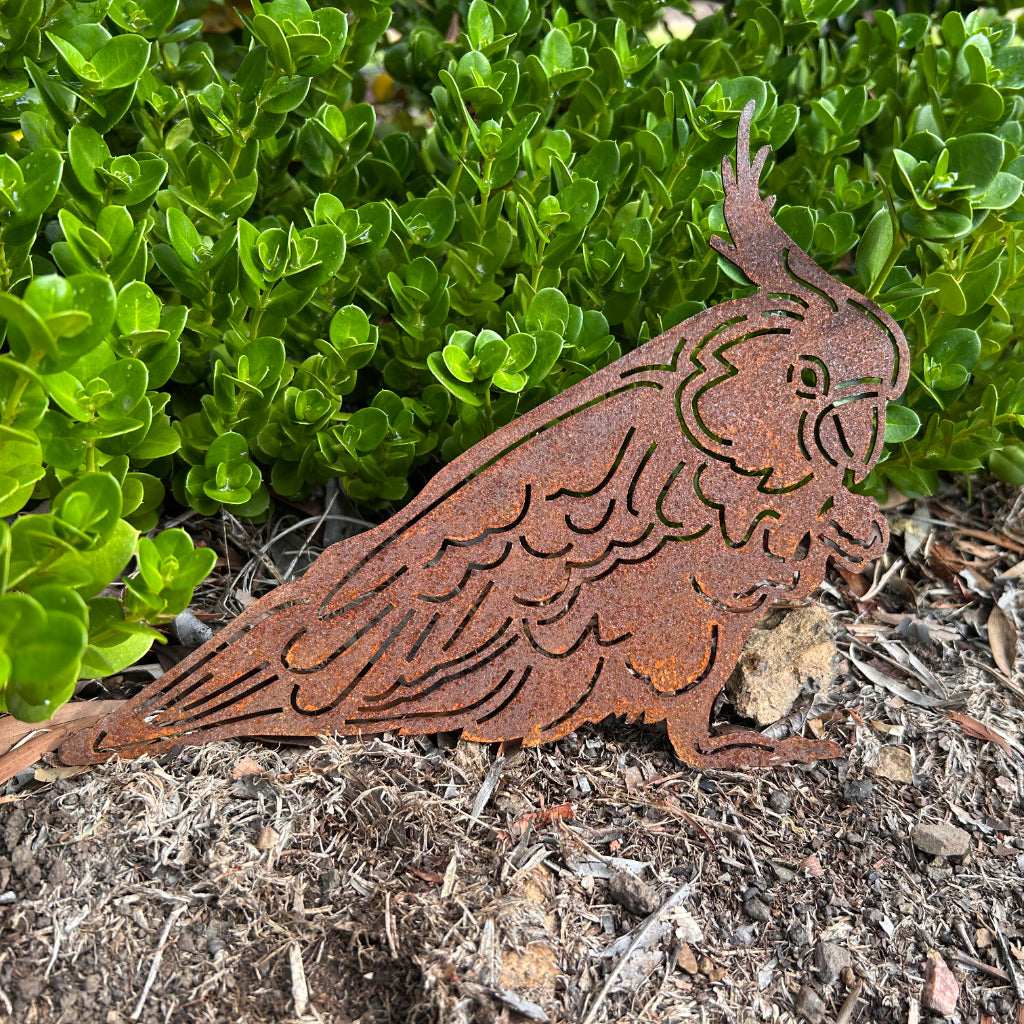 Rust-colored metal cockatoo sculpture on a natural ground surface with green foliage in the background