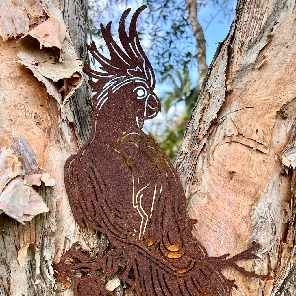 Metal cockatoo bird sculpture in paperbark tree
