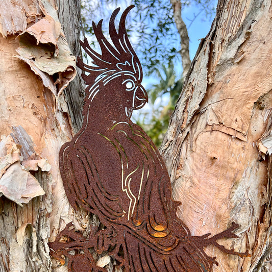 Metal cockatoo bird sculpture in paperbark tree