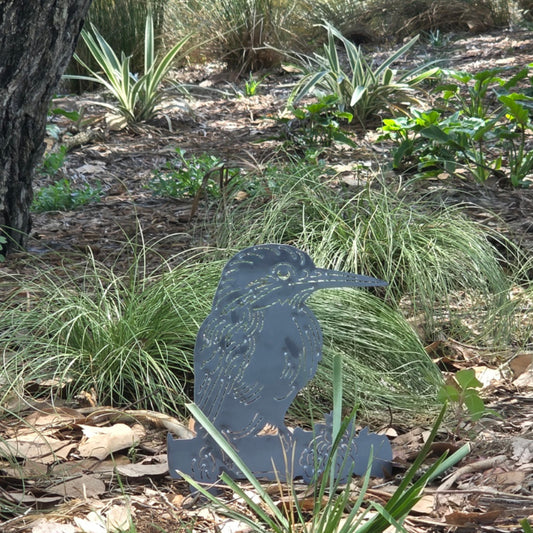 Kingfisher Purched on a Large Branch