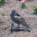 Magpie on a Log